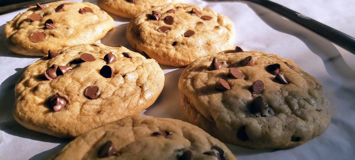 Freshly Baked Chocolate Chip Cookies